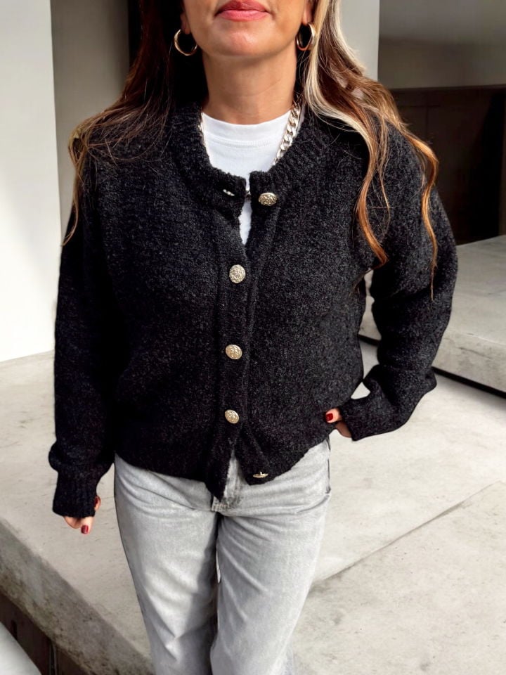 Dilvin Premium Gold Düğmeli Buklet Antrasit Hırka